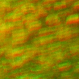 Bokeh-502